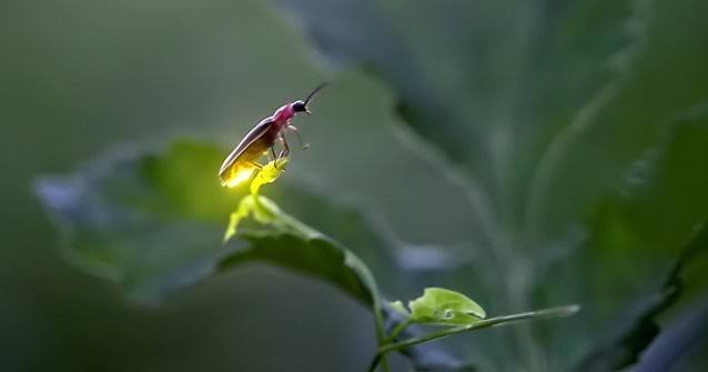 WhatsApp Image 2025-06-15 at 18.53.31