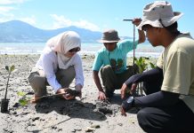 IMIP Gandeng Generasi Muda Tanam Mangrove di Teluk Palu