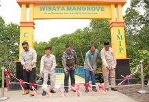 CSR IMIP Tuntaskan Pembangunan Desa Wisata Mangrove Padabaho