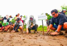 IMIP Tingkatkan Serapan Karbon, Target Reduksi Emisi