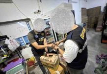 Bea Cukai Morowali Lakukan Penindakan Rokok Ilegal Sekaligus Fasilitasi Industri di Sambalagi