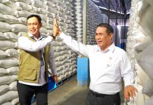 Stok Beras Tembus 5 Juta Ton, Bukti Swasembada