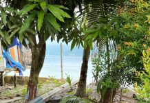 Momentum Hari Bumi, PT GNI Bersama DLH Dorong Penghijauan di Morowali Utara