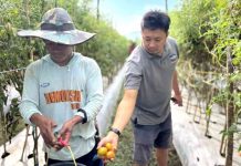 CSR IMIP Serap 70,59 Ton Hasil Tani, Pendapatan Dua Kelompok Tembus Ratusan Juta