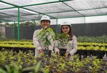Sambut HLHS 2026, IMIP Jadikan RTH Sebagai Kategori Lomba