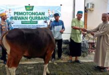 Iduladha 1447 Hijriyah, Polres Poso Kurban Lima Sapi Tiga Kambing