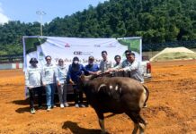 Jelang Idula Adha, PT GNI dan Tenant Kawasan Industri Salurkan Sapi Kurban