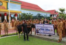 Pemkab Poso Dorong Harmoni Lewat Penyaluran Hewan Kurban