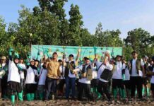 ECO ROOTS 2026: Wujud Kolaborasi Untuk Pesisir Berkelanjutan dalam Peringatan Hari Lingkungan Hidup Sedunia