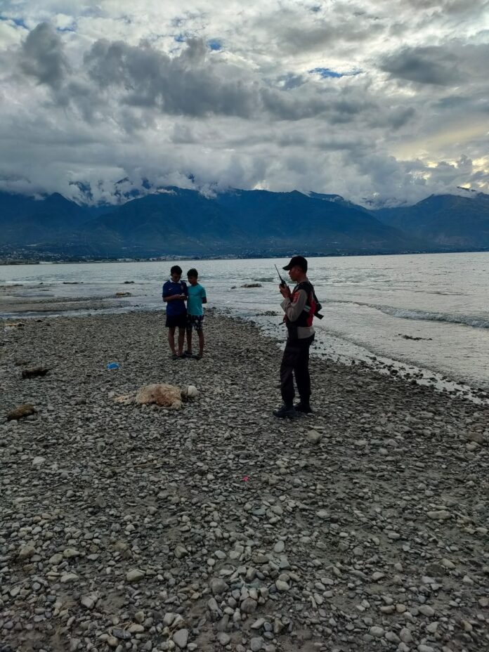 IMG-20260617-WA0128