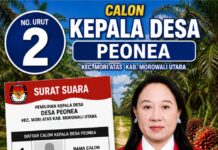 32 Tahun Mengabdi, Bidan Selly Perempuan Pertama Maju di Pilkades Peonea Mori Atas