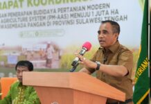 Anwar Hafid Genjot Berani Panen Raya, Target Produktivitas Padi Sulteng Capai 6 Ton per Hektare