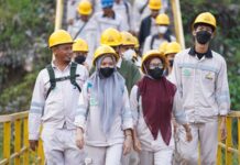 Serap 97.427 Tenaga Kerja, IMIP Jadi Penggerak Utama Ekonomi Sulteng
