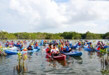 Hari Mangrove Sedunia, IMIP Dukung Penanaman 1 Juta Mangrove di 37 Provinsi