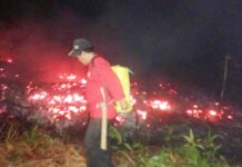 Karhutla Desa Taripa Hanguskan Kebun Durian Milik Warga
