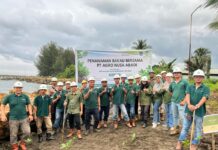 Tanam 100 Mangrove, PT Agro Nusa Abadi Perkuat Ketahanan Ekosistem Pesisir