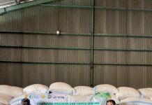 BULOG Poso Salurkan SPHP Jagung untuk Dukung Peternak