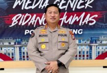 Insiden Perkelahian di Depan Alfamidi Palu, Polda Sulteng Ungkap Kronologi Kejadian