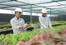 Bank Benih Nursery Mandiri IMIP, Menjaga Keanekaragaman Hayati Lokal