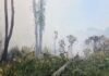 Kebakaran Lahan di Gunung Tinjoli Ditangani Polisi dan Warga