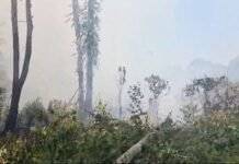 Kebakaran Lahan di Gunung Tinjoli Ditangani Polisi dan Warga