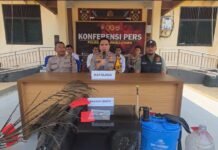 Bakar Kebun Berujung Petaka, 15 Hektare Dilalap Api