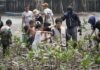 PT IMIP Padukan Pelestarian Mangrove dan Kemandirian Ekonomi Warga