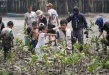PT IMIP Padukan Pelestarian Mangrove dan Kemandirian Ekonomi Warga